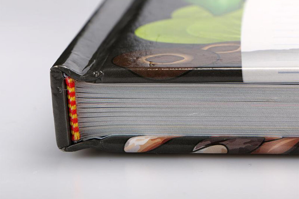 Detalles de la encuadernación en tapa dura, el lomo del libro, las guardas y el acabado de la superficie