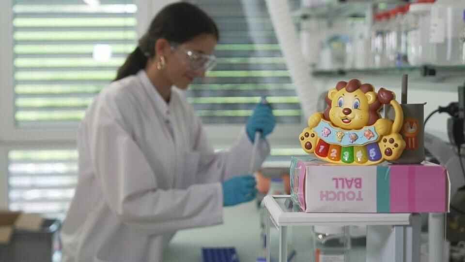 Produzione di libri cartonati per un'azienda produttrice di giocattoli