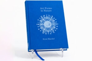 Custom Book Printing