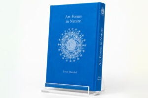 Custom Book Printing